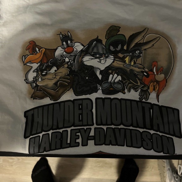HARLEY DAVIDSON Looney Tunes Motorcycle Daffy Bugs Marvin S Youth - Picture 1 of 3
